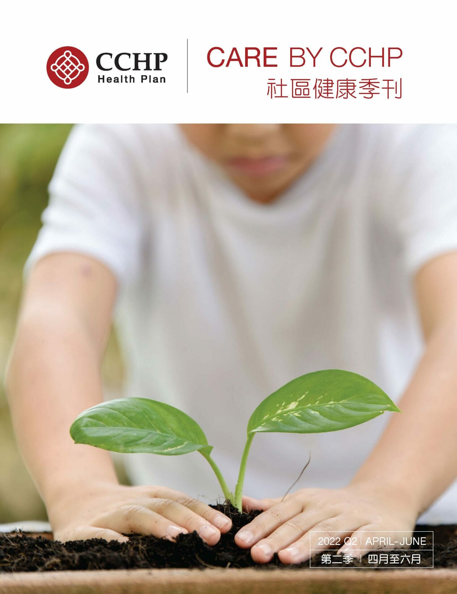 cchp 2022 q2 newsletter cover little boy planting tree